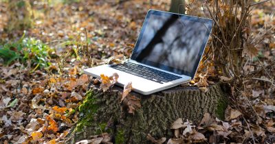 Working on laptop in forest